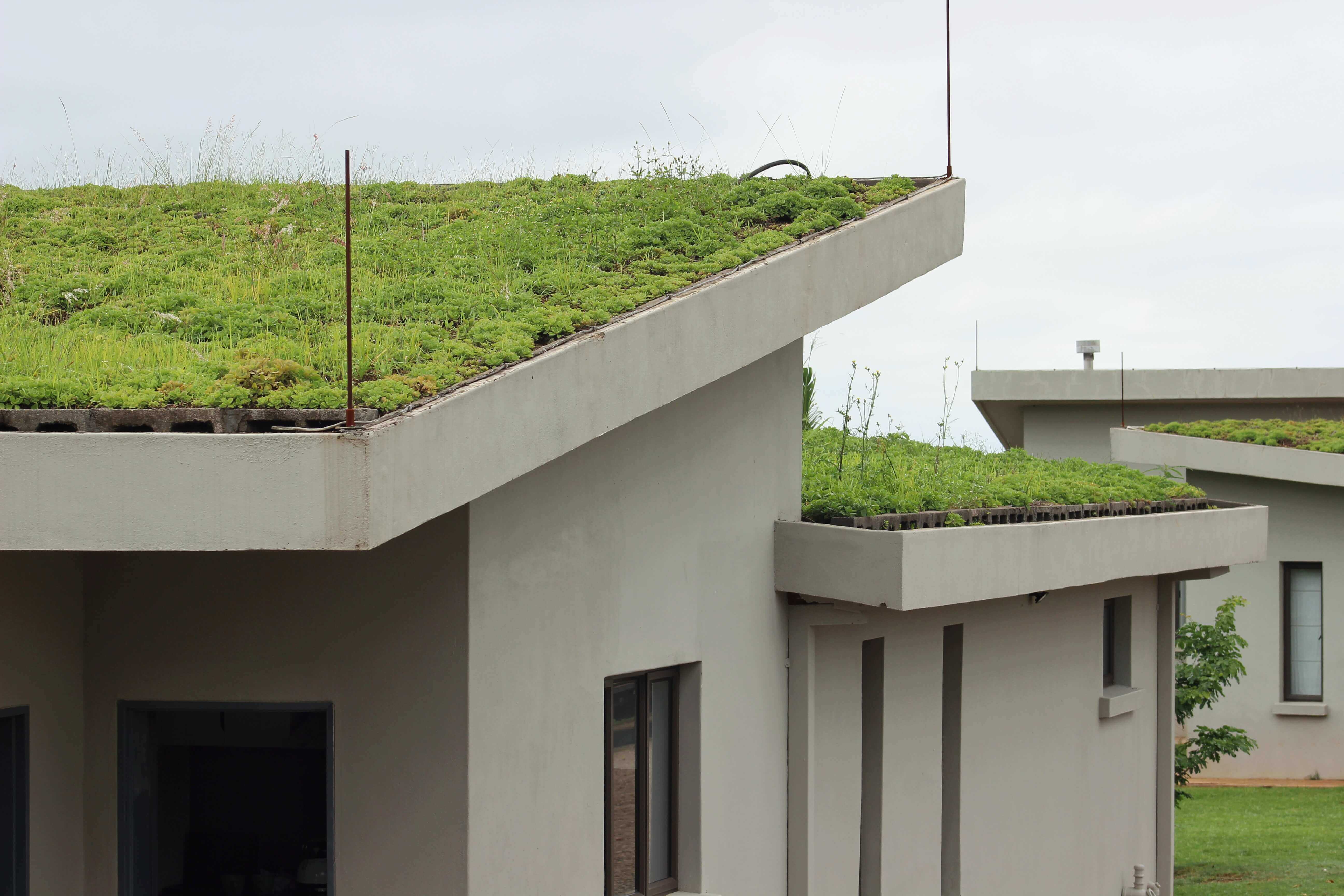 Customer Testimonails